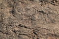 textures showing the formation of stone from ancient cooled lava flow on rock faces in a volcanic area rural Victoria Royalty Free Stock Photo