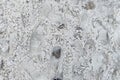 Textures. Snow slush with dirt and footprints on the road Royalty Free Stock Photo