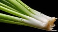 textures white green onion