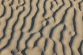 Textures of wind blown natural patterns in the sand dunes on a sunny beach Royalty Free Stock Photo