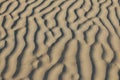 Textures of wind blown natural patterns in the sand dunes on a sunny beach Royalty Free Stock Photo