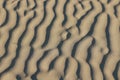 Textures of wind blown patterns in the sand dunes on a sunny beach Royalty Free Stock Photo