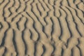 textures of wind blown patterns in the sand dunes on a sunny beach Royalty Free Stock Photo