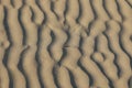 Textures of wind blown natural patterns in the sand dunes on a sunny beach Royalty Free Stock Photo