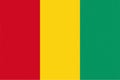 Texturized Guinean Flag of Guinea