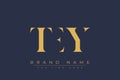 TEY abstract letter logo design Royalty Free Stock Photo