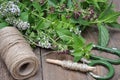 TFresh herbs lemon balm, thyme, mint on wooden board and accessories Royalty Free Stock Photo