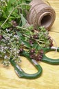 TFresh herbs lemon balm, thyme, mint on wooden board and accessories Royalty Free Stock Photo