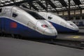 TGV Trains at Paris Gare de Lyon Royalty Free Stock Photo