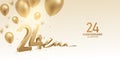 24th Anniversary Celebration Background Royalty Free Stock Photo