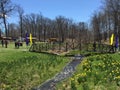 The 37th Annual Daffodil Festival in Meriden, Connecticut