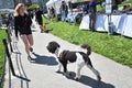 16th Annual San Francisco DogFest 2023 32 Royalty Free Stock Photo