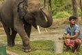 6th April, 2022, Dhu6th April, 2022, Dhupjhora, West Bengal, India: A elephant trainer or keeper preparing fodd for the elephant