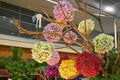 14th Asia Pacific Orchid Conference Orchid Landscape Display