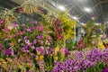 14th Asia Pacific Orchid Conference Orchid Landscape Display