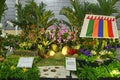 14th Asia Pacific Orchid Conference Orchid Landscape Display