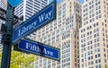 5th ave and Library Way corner. Blue color street signs, Manhattan New York downtown Royalty Free Stock Photo