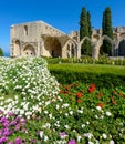 13th century Gothic monastery at Bellapais,northern cyprus 5