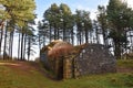 19th century ice house in Tentsmuir Forest, Fife Scotland now colonised by bats Royalty Free Stock Photo