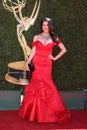 44th Daytime Emmy Awards - Arrivals Royalty Free Stock Photo