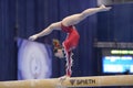 5th European Championships in Artistic Gymnastics