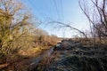 Tyne Riverside Country Park on a sunny winter morning with stream and electricty pylons