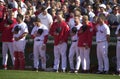 7th Inning Stretch at Fenway Park. Royalty Free Stock Photo