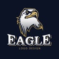 Hawk Eagle Head USA Americs Logo Mascot Vector 12 Royalty Free Stock Photo