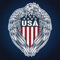 Eagle Wing Annimal Blue Flag Usa America Vector Illustration