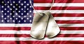 4th July Dog Tags