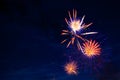 4th July fireworks display on dark sky. Royalty Free Stock Photo