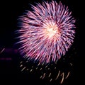 A single 4th of July firework Royalty Free Stock Photo