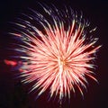 A single 4th of July firework Royalty Free Stock Photo