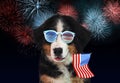 4th of July - Independence Day of USA. Cute dog with sunglasses and American flag on dark background with fireworks Royalty Free Stock Photo