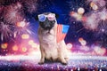 4th of July - Independence Day of USA. Cute dog with sunglasses and American flag on festive background with fireworks and Royalty Free Stock Photo