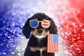 4th of July - Independence Day of USA. Cute dog with sunglasses and American flag on shiny festive background Royalty Free Stock Photo