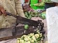 11th July 2020,Paota vegetable market in jodhpur city of Rajasthan state in india- Row mangoes cutting with sharp food cutter