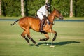 24th of July - Polo training in San Enrique de Guadiaro, Cadiz, Spain