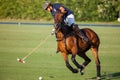 24th of July - Polo training in San Enrique de Guadiaro, Cadiz, Spain