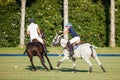 24th of July - Polo training in San Enrique de Guadiaro, Cadiz, Spain