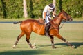 24th of July - Polo training in San Enrique de Guadiaro, Cadiz, Spain