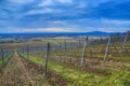 Th Tokaj Hill from Tolcsva Royalty Free Stock Photo