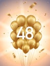 48th Year Anniversary Background Royalty Free Stock Photo