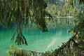 Tha lake of Tovel in Val di Non, Northern Italy