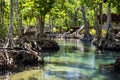 Tha Pom Khlong Song Nam in summer, Krabi Royalty Free Stock Photo