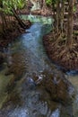 Tha Pom Klong Song Nam beautiful and famous tourist destination in Krabi, Thailand. Royalty Free Stock Photo