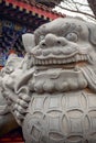 Tha statue of the Chinese lion at the entrance of temple at the Penglai pavilion, Yantai, Shandong, China, background Royalty Free Stock Photo