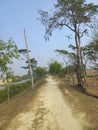 Tha village of Patuakhali district bd