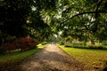 Thabor park Le parc du Thabor in Rennes - one of finest exampl