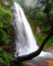 Thac tinh yeu waterfall in Thailand